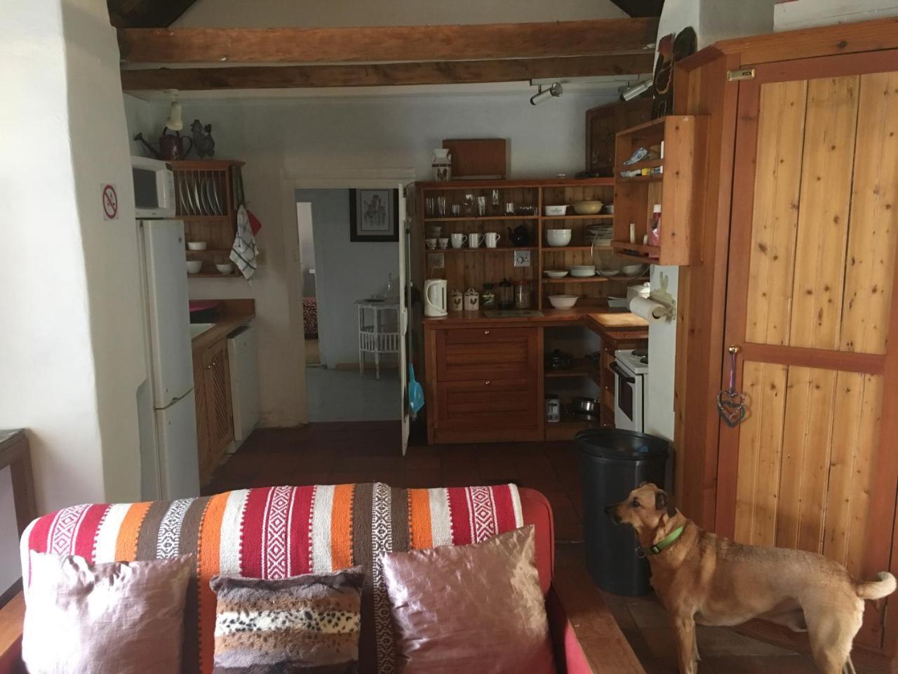Carneddie Cottage - Main 布雷达斯多普 外观 照片
