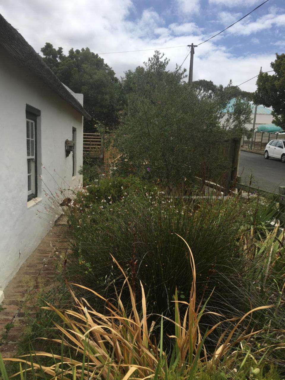 Carneddie Cottage - Main 布雷达斯多普 外观 照片